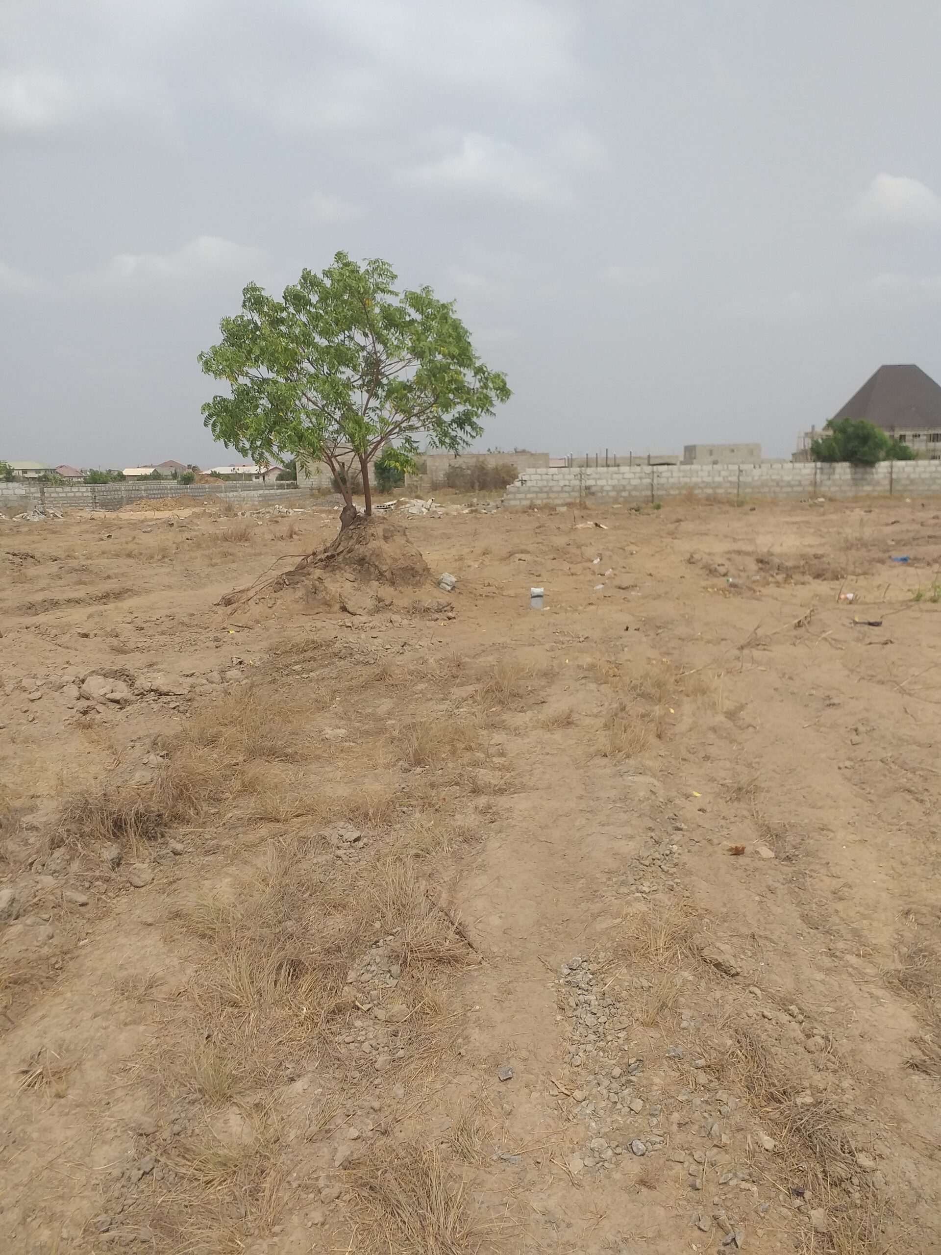 Amniva Global Completes Successful Field Operations on Farmland Project in Assin Gangan